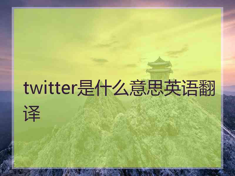 twitter是什么意思英语翻译