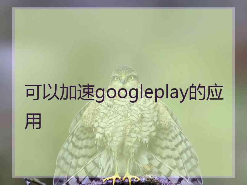 可以加速googleplay的应用