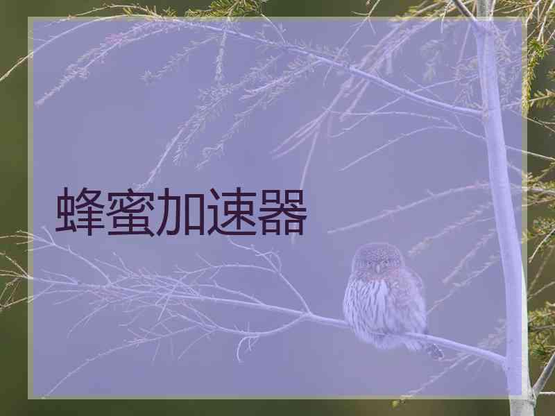 蜂蜜加速器