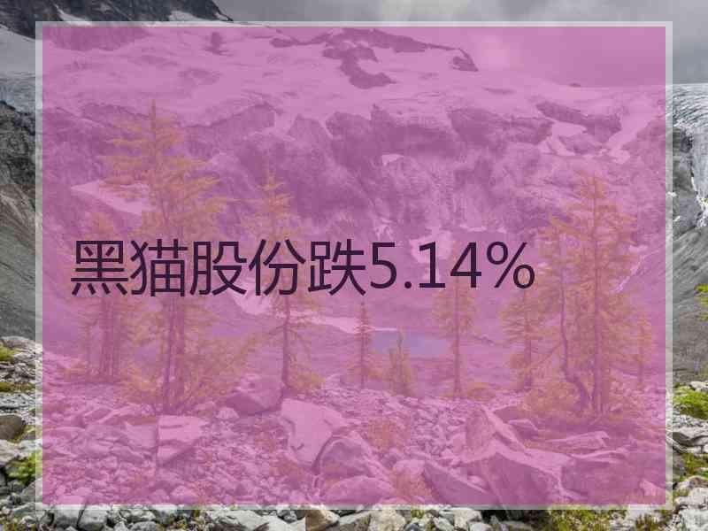 黑猫股份跌5.14%