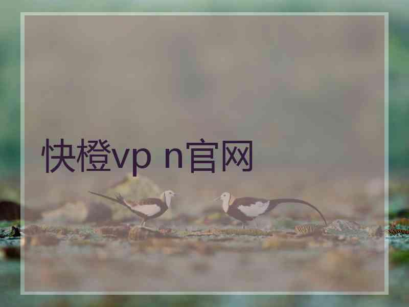 快橙vp n官网