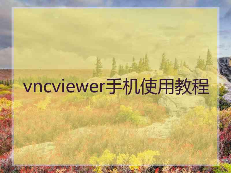 vncviewer手机使用教程