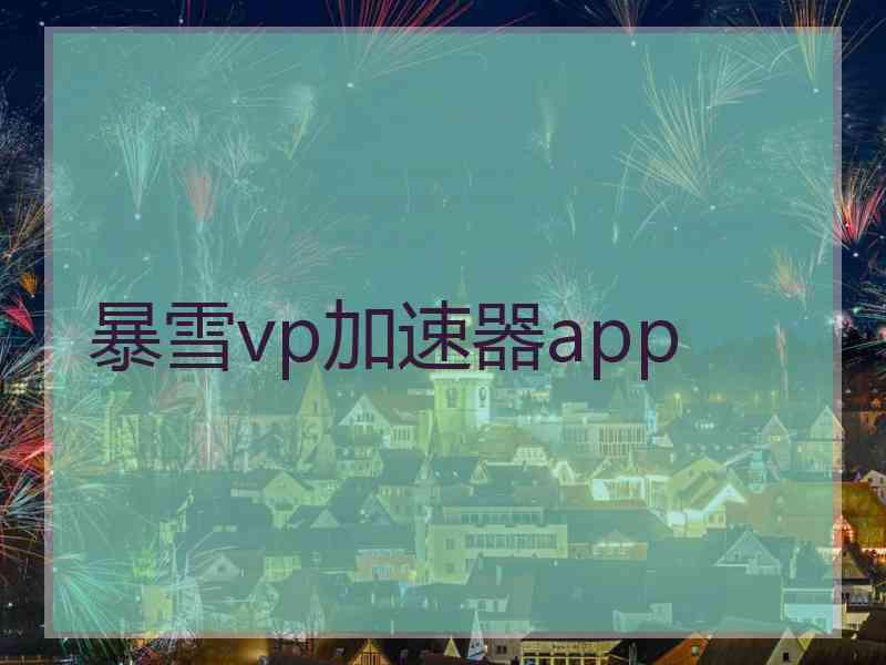 暴雪vp加速器app