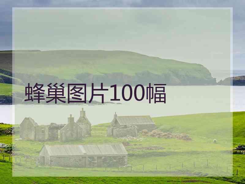 蜂巢图片100幅