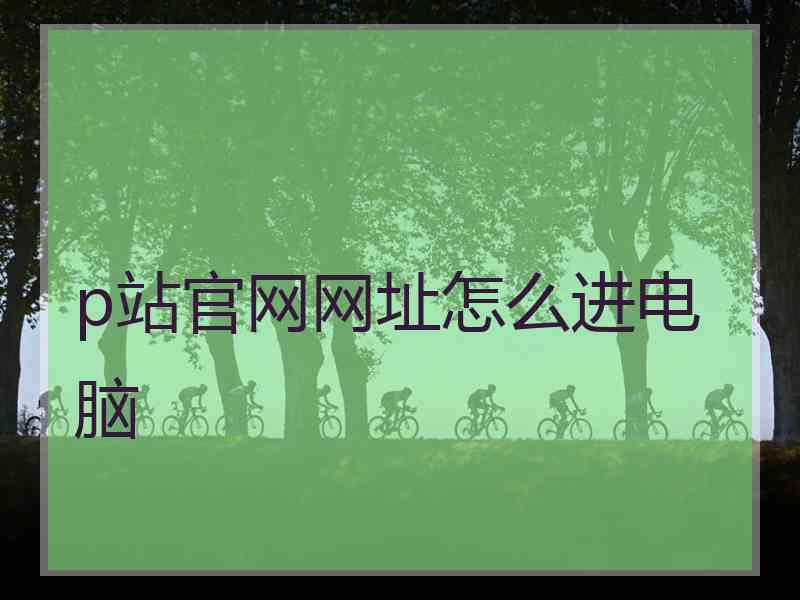 p站官网网址怎么进电脑