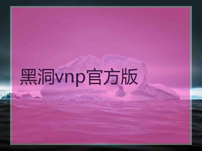 黑洞vnp官方版