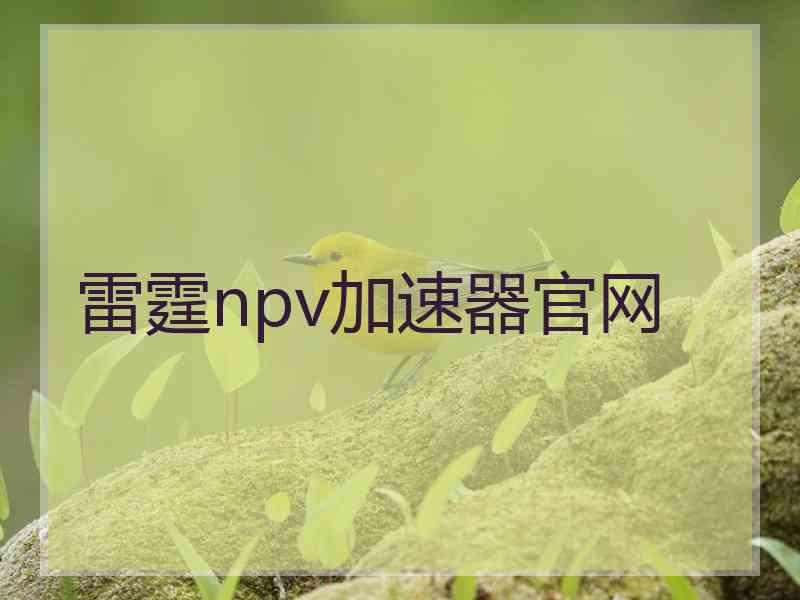 雷霆npv加速器官网