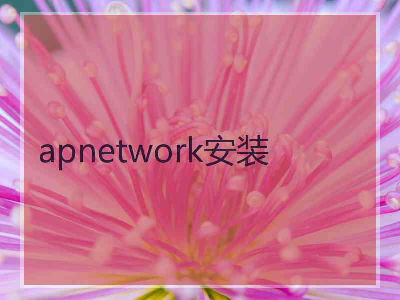 apnetwork安装