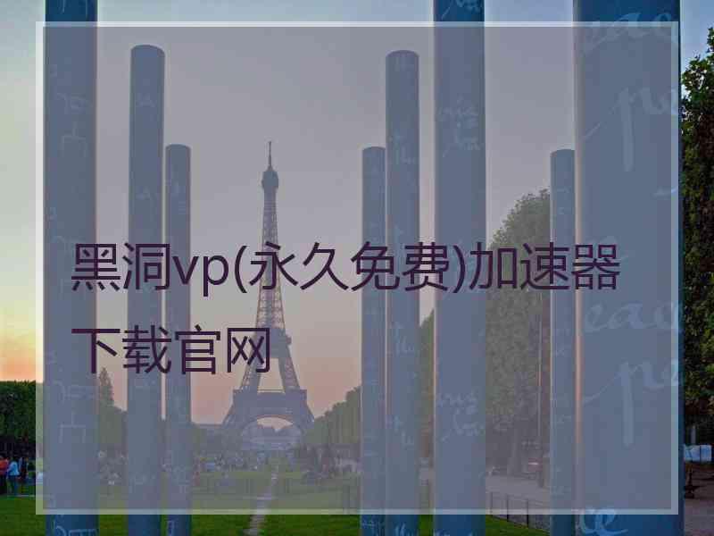 黑洞vp(永久免费)加速器下载官网