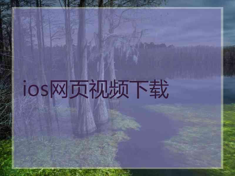 ios网页视频下载