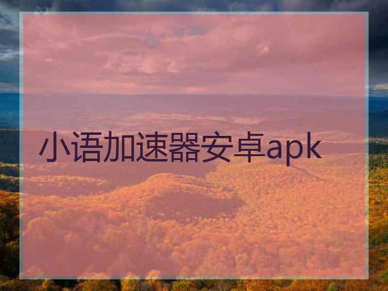 小语加速器安卓apk