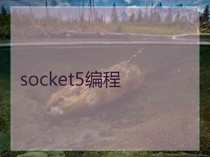 socket5编程