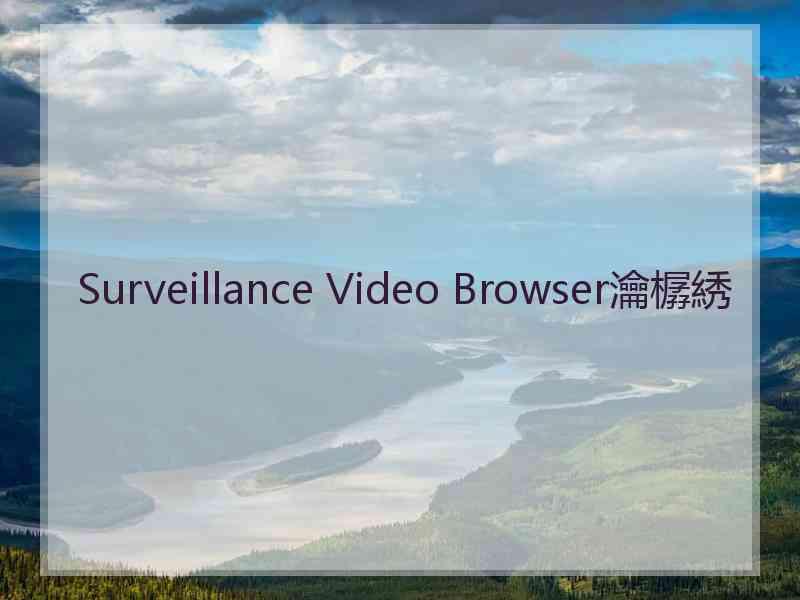 Surveillance Video Browser瀹樼綉