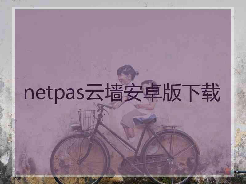 netpas云墙安卓版下载