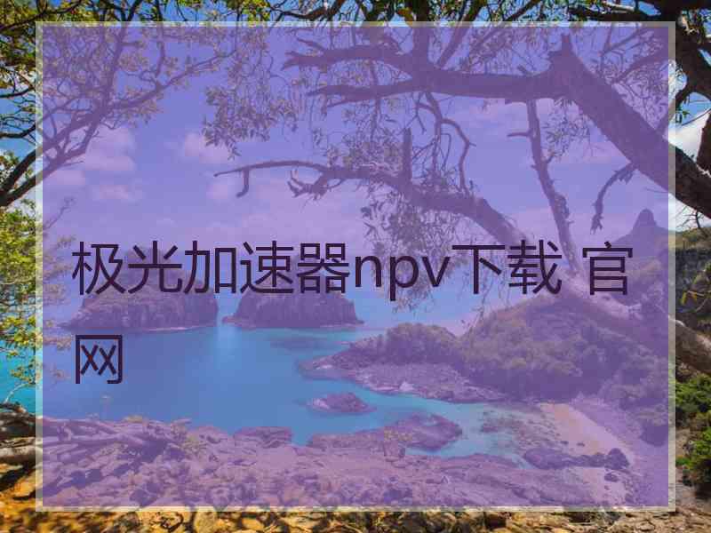 极光加速器npv下载 官网