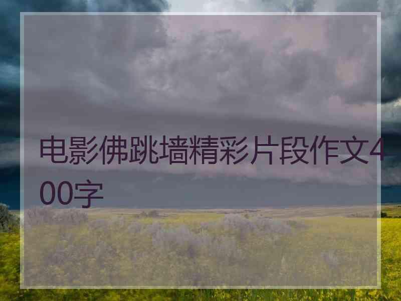 电影佛跳墙精彩片段作文400字