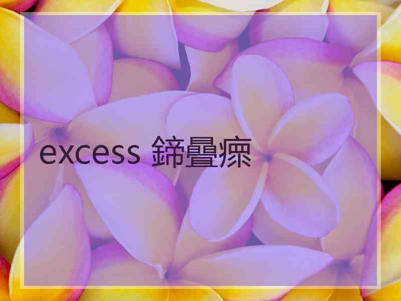 excess 鍗曡瘝