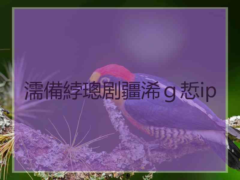 濡備綍璁剧疆浠ｇ悊ip