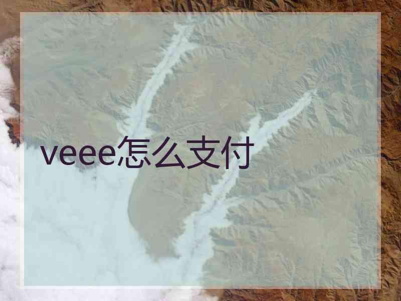 veee怎么支付