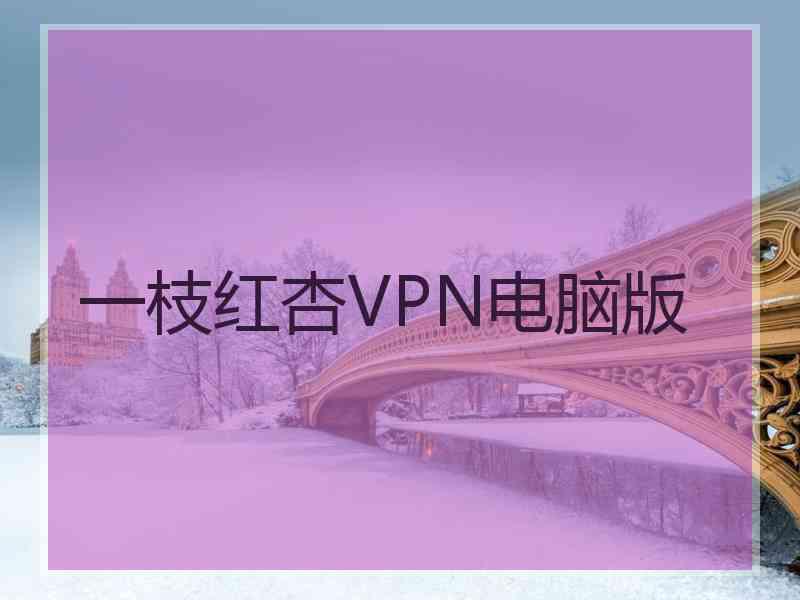 一枝红杏VPN电脑版