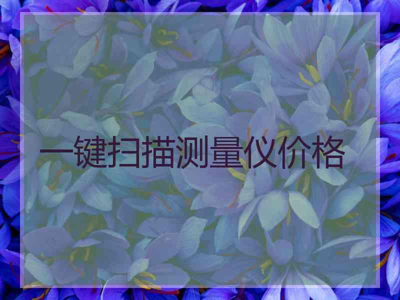 一键扫描测量仪价格