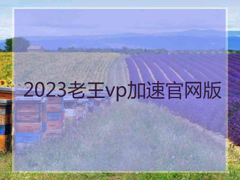 2023老王vp加速官网版