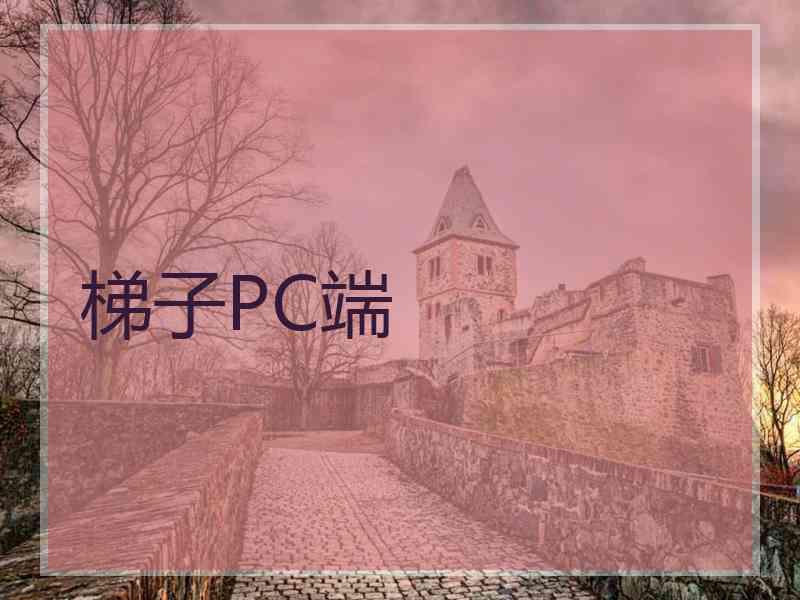 梯子PC端