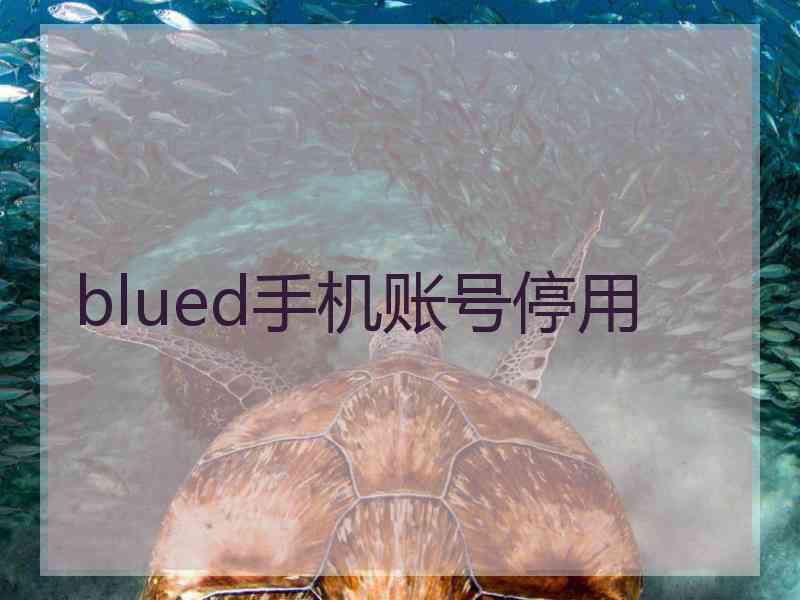 blued手机账号停用