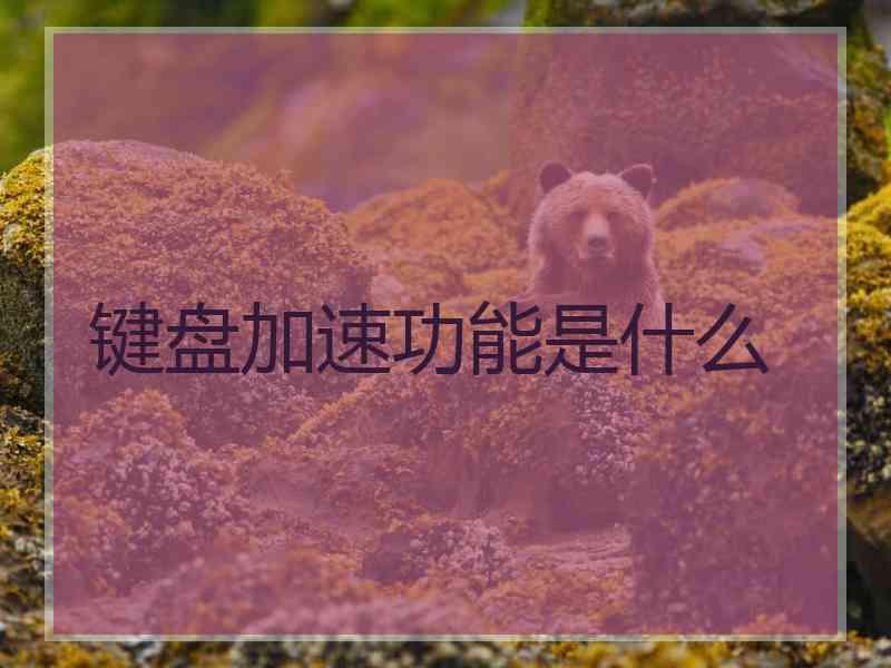 键盘加速功能是什么