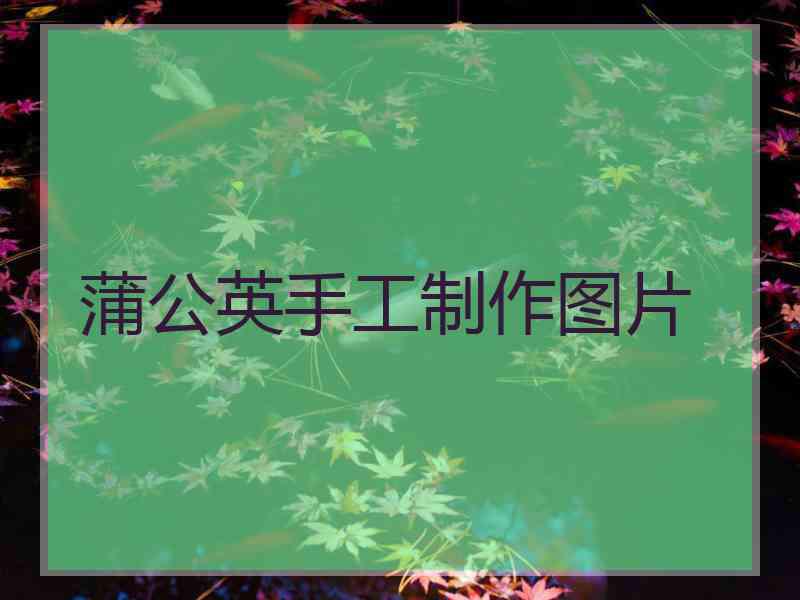 蒲公英手工制作图片