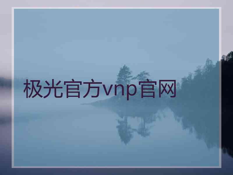 极光官方vnp官网