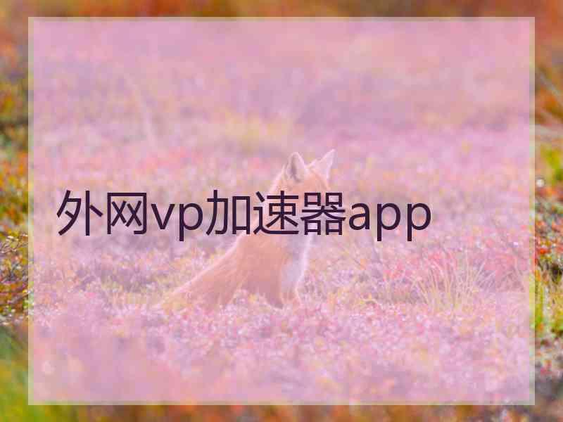 外网vp加速器app