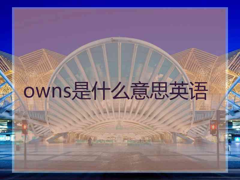 owns是什么意思英语