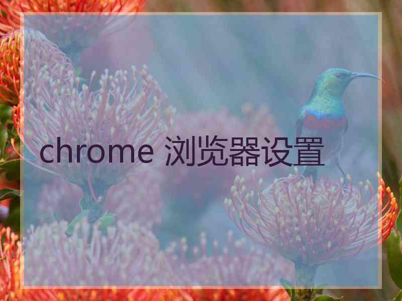 chrome 浏览器设置