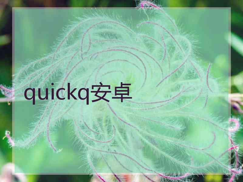 quickq安卓