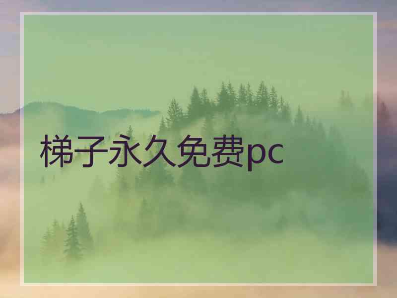 梯子永久免费pc