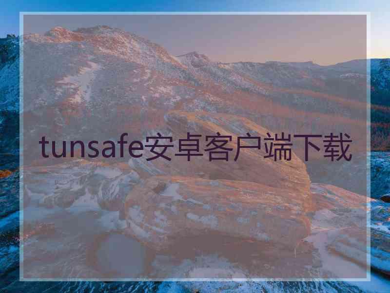 tunsafe安卓客户端下载