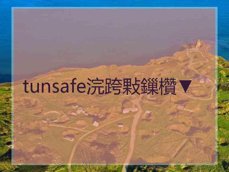 tunsafe浣跨敤鏁欑▼