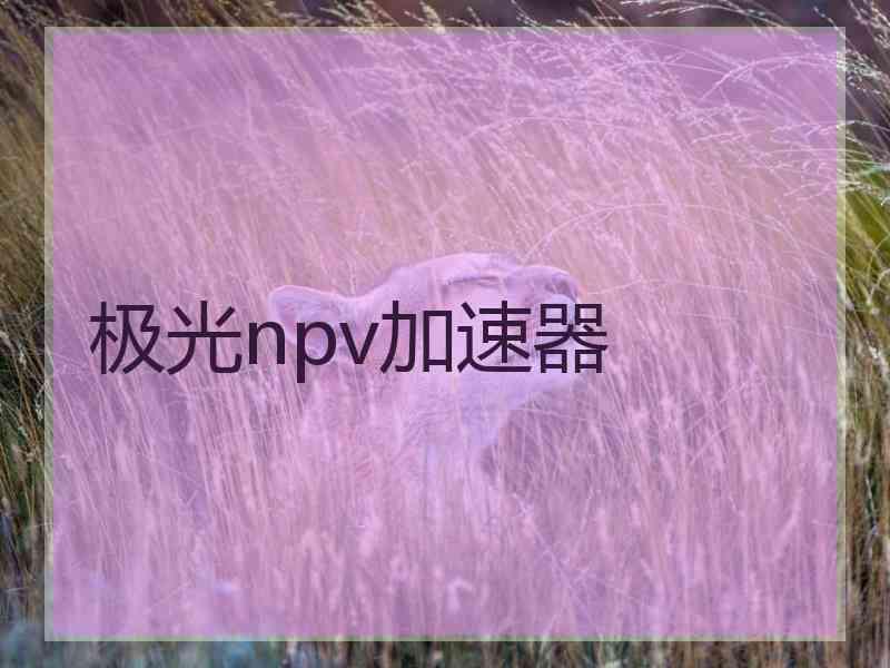 极光npv加速器