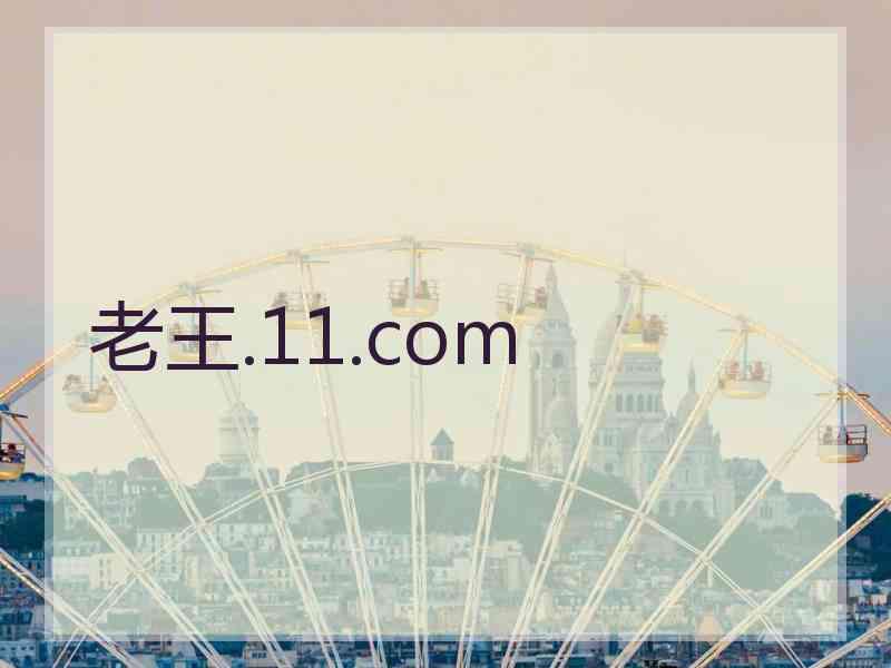 老王.11.com