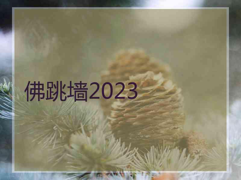 佛跳墙2023