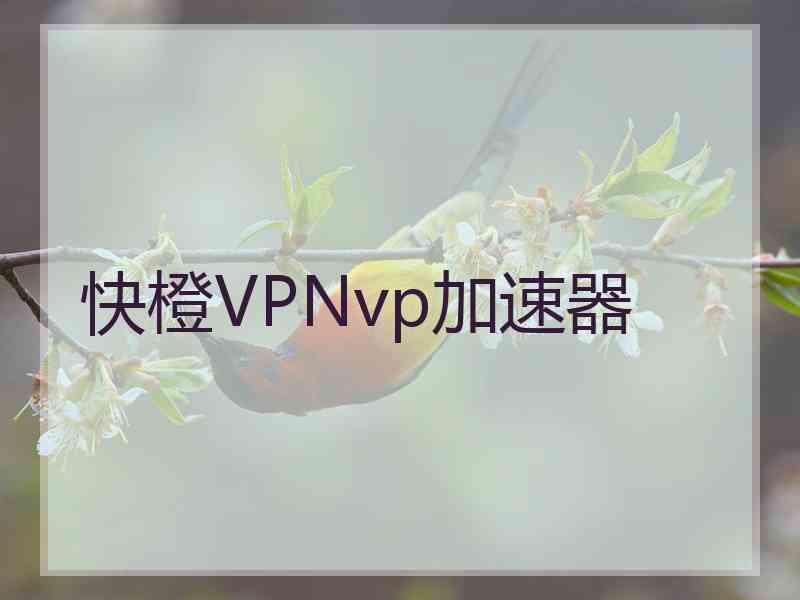 快橙VPNvp加速器