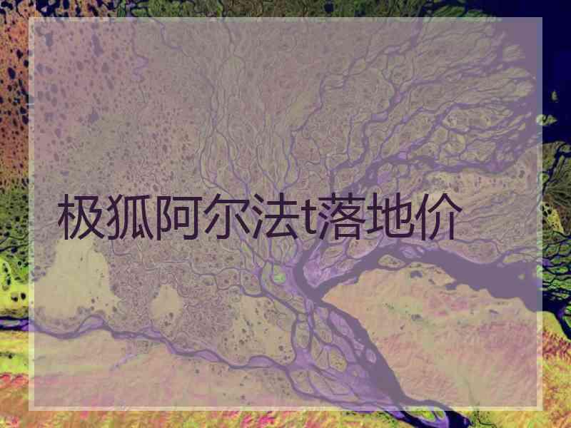 极狐阿尔法t落地价