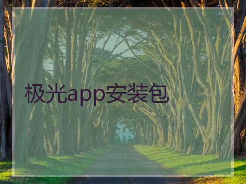 极光app安装包